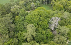 1306 Us 258, Como, NC 27818