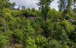 2148 Topside Drive, Spencer, TN 38585