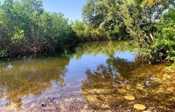SEA BREEZE DRIVE, TARPON SPRINGS, FL 34689