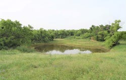 351 County Road 126, Coleman, TX 76834