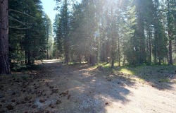 Elk Springs Dr lot: 3-G-12, McCloud, CA 96057
