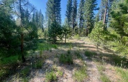 950 Miner's Passage, Clio, CA 96106