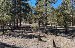 147 Haystack Road, Hartsel, CO 80449