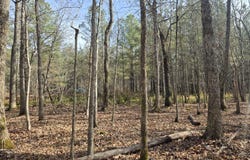 Cottonwood Tr, Sunbright, TN 37872