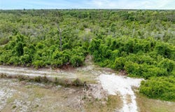 33431 SERENE DRIVE, PUNTA GORDA, FL 33982