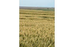000 232 Rd, Burdett, KS 67523