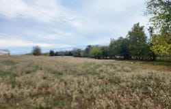 694 County Road 4919, Quitman, TX 75783