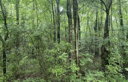 0 Independence Bottom Road, Selma, AL 36701