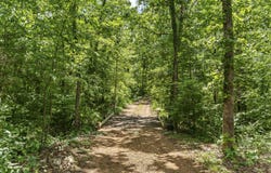 13544 State Highway Kk, Marshfield, MO 65706