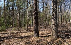 VL S Pershing Road, Baldwin, MI 49304