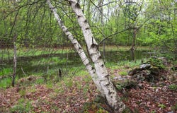 90  Camp A Way Road, Granville, NY 12832