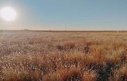 17010 N County Road 1000, Shallowater, TX 79363
