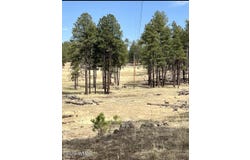 Lot B Forest Road 26, Alpine, AZ 85920