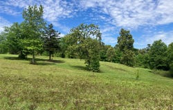 Ridgeline Loop, Winona, TX 75792