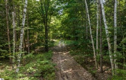 0000 Hjelte Road, Kewadin, MI 49648