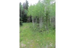 0 Peak to Peak Hwy, Nederland, CO 80466