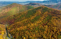 LUCAS HOLLOW RD, STANLEY, VA 22851