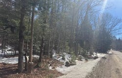 358 River Road, Riparius, NY 12862