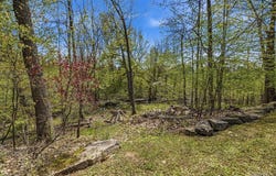 207 Forest Creek Lane, Grand Island, NY 14072