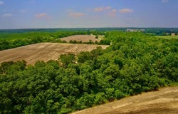 0 Rocky Creek Road, Ashford, AL 36312