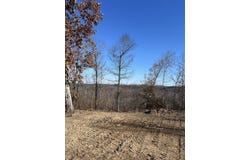 91 D  Rolling Hills Rd, Lobelville, TN 37097