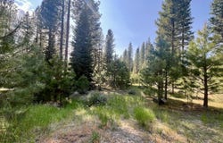 950 Miner's Passage, Clio, CA 96106
