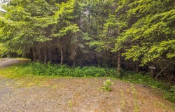 Grand Rdg RD, Toutle, WA 98649