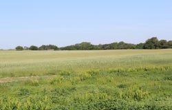 0 Highway 50, Mooreland, OK 73852