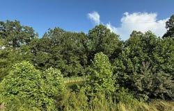 4527 Keavy Road, London, KY 40744