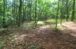 121 Pinedale, Griffin, GA 30224