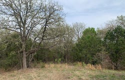 1045 Creek Crossing Road, Nemo, TX 76070