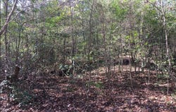 HIGHWAY 563, Simsboro, LA 71235