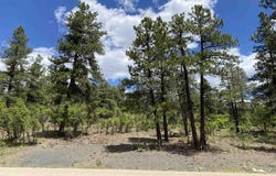 124 Granada Drive, Pagosa Springs, CO 81147