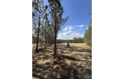 Sage Forest Ln lot: 53, Pace, FL 32571