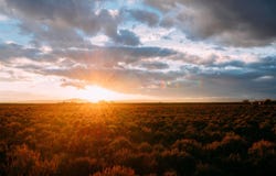 Lot 23 Route de Soleil, Arroyo Seco, NM 87514
