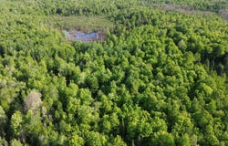 State Road 86, Tomahawk, WI 54487