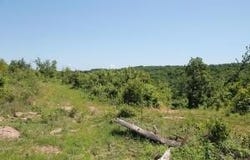 39250-9260  Hwy 27, Witts Springs, AR 72686