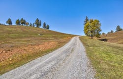 7005 Mountain Ranch Road, Mountain Ranch, CA 95246
