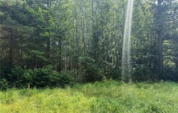 000 Sunset Valley Road, Nisswa, MN 56468