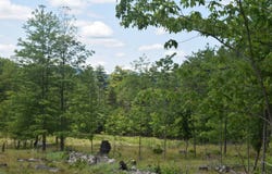TBD Anthony Drive, Cairo, NY 12058