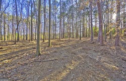 Powderbag Creek Road lot: 1, Hartwell, GA 30643