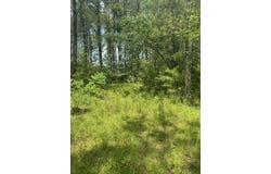 Longleaf Dr, Petal, MS 39465