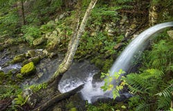 Old Plank Road, Cragsmoor, NY 12420