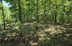 Esculapia Hollow  RD Unit #Lot 7, Rogers, AR 72758