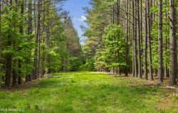 Spring Road, Flora, MS 39071
