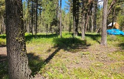 2770 NE Sagehen Dr, Island Park, ID 83429