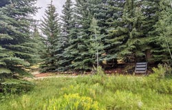 175 N Apollo Trail, Duck Creek, UT 84762