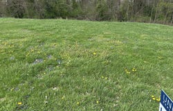 916 Woods Run Rd, Bardstown, KY 40004