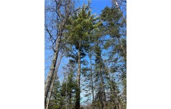 Xxx Yellowsands Drive, Spooner, WI 54801