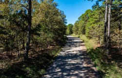 Porter Road, Shirley, AR 72153